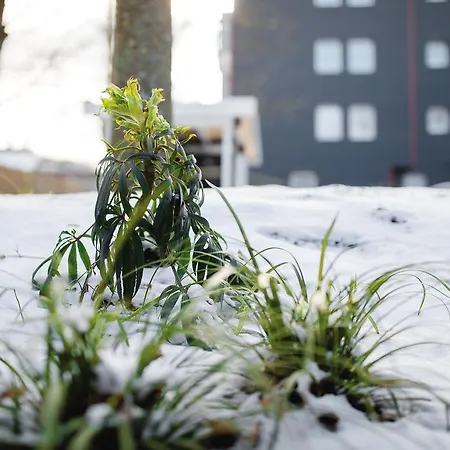 호텔 Uno Hotel Stuttgart Grossbettlingen Großbettlingen
